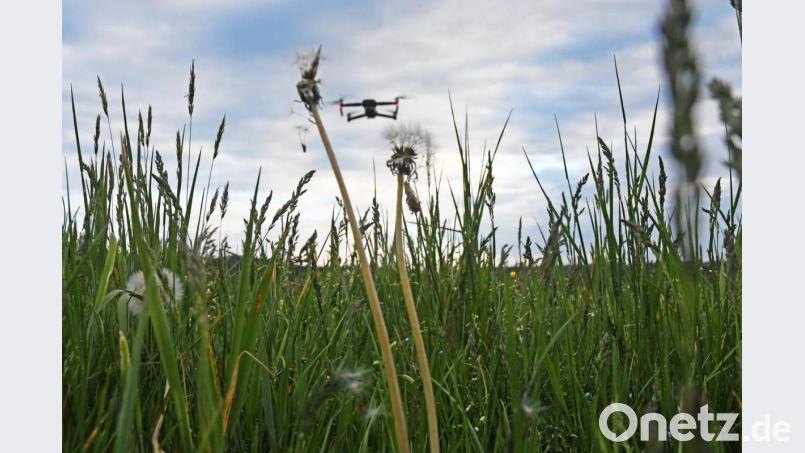 Der Einsatz von Drohnen erleichtert Jägern und Landwirten ihre Arbeit bei der Kitzrettung enorm. Bild: Gabi Schönberger