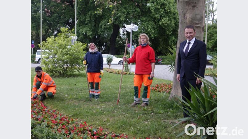 Eifrig im Einsatz ist das Team der Stadtgärtnerei (von links), Fabian Schreffl, Gertrud Bergler und Alexandra Feuerer mit Oberbürgermeister Jens Meyer. Bild: exb