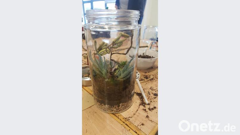 Die MINT-Garage deckt viele Themengebiete ab. Hier ist ein Garten im Glas zu sehen, den die Kinder bei einem MINT-Garagen-Workshop anpflanzen konnten.	Bild: exb Bild: exb