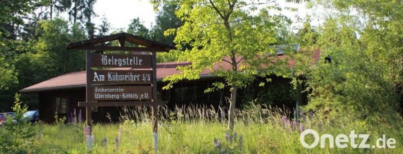 Der Imkerverein Wernberg-Köblitz betreibt eine von zwei Belegstellen in der Oberpfalz. Bild: exb