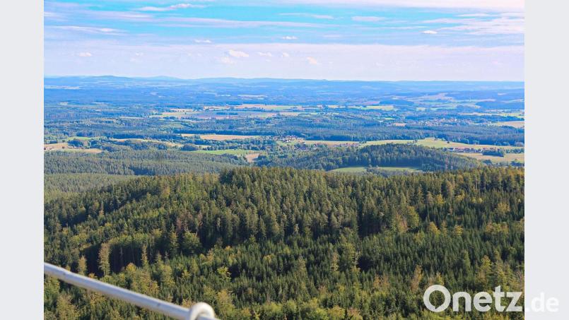 Der Oberpfälzer Wald ist die sicherste Ecke der ganzen Bundesrepublik. Das ist zumindest das Ergebnis einer Studie des Nachrichtenmagazins Focus. Bild: bsc