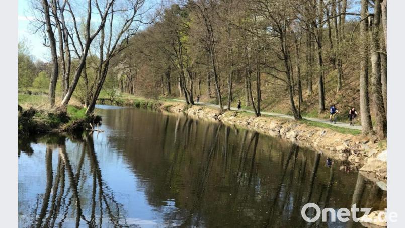 Prellsteine aus Granit sind stumme Zeugen und begrenzen den Weg zur Hammermühle. Sie wurden vom OWV aufgerichtet. Bild: cr