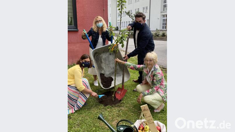 Eltern, Kindern und auch Bürgermeister Sebastian Dippold packen bei der Baumpflanzaktion an der Neustädter Grundschule an. Bild: krb