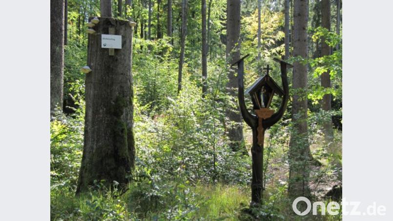 Frisch renoviert und überarbeitet präsentiert sich den Besuchern das Holzmarterl &quot;Madonna im Gabelkreuz&quot; in der Waldabteilung &quot;Kirchenschlag&quot;. Bild: fjo