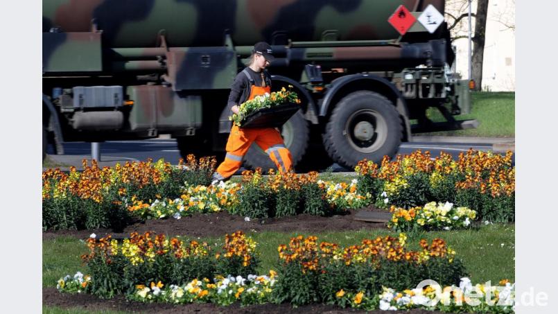 Die Stadtgärtnerei bringt den Frühling in die Stadt: Die Mitarbeiter bepflanzen unter anderem die Insel im großen Kreisverkehr. Bild: Stephan Huber