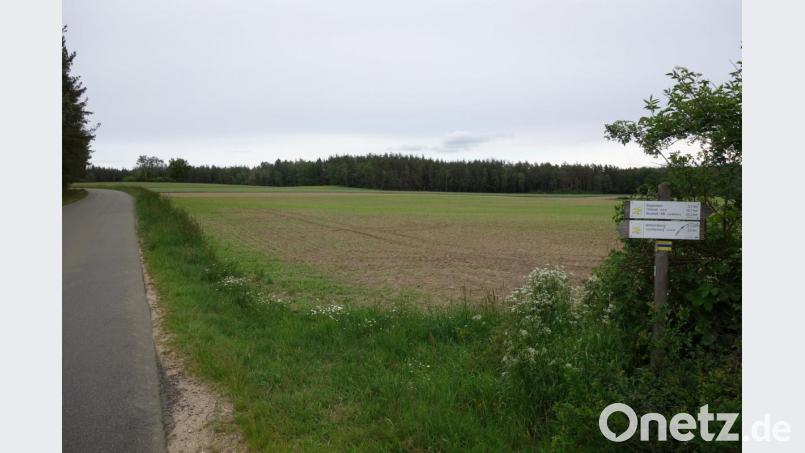 Für die Waldlichtung zwischen Kleinpoppenhof und Lerau liegt der Marktgemeinde ein Antrag zum Bau einer großflächigen Sonnenstrom-Anlage vor. Bild: fjo