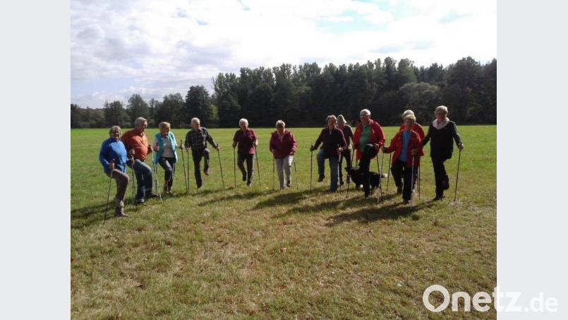 Man sieht es den Teilnehmern der Walkinggruppe an, wie viel Spaß sie am Sport haben. Diesen möchten sie jetzt auch wieder miteinander erleben. Am 8. Juni soll das in Kleingruppen beim Reha-Vital-Sportverein Altenstadt möglich sein. Vorherige Anmeldung ist wichtig. Dieses Bild entstand übrigens bei einer Sportstunde noch vor der Coronakrise. Bild: adj