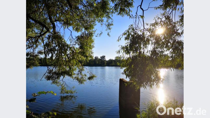 Eines der Bilder aus dem Wettbewerb des Vorjahres, die in der Außenstelle des Rathauses die Wand schmücken: der Moosweiher, fotografiert von Christine Wagner. Bild: Christine Wagner/exb
