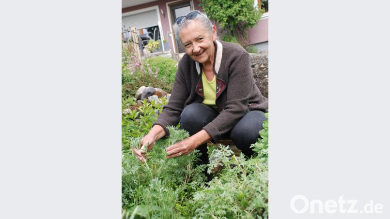 Johanna Eisner aus Haunritz hat mehrere Wermutpflanzen in ihrem Garten. Bild: Vogl, Christa