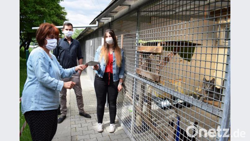500 Euro Spende für das Tierheim: Von links Ingrid Mallmann, Zweite Vorsitzende vom Tierschutzverein. Die beiden Vorsitzenden der 
Ammerthaler Kirwagemeinschaft, Marcel Pemp und Sarah Hirschmann. Bild: oe