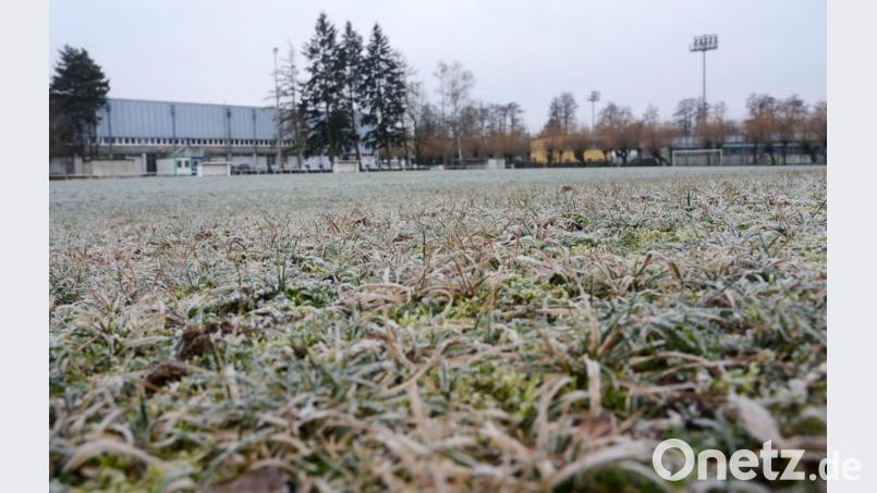 Auch diese Fläche hinter der Mehrzweckhalle soll zu einem Kunstrasenplatz für die SpVgg SV Weiden umgebaut werden. Bild: Gabi Schönberger