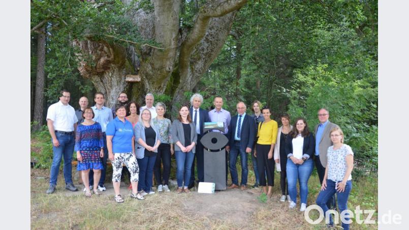Seltsame Stelen werden derzeit landauf, landab im Oberpfälzer Wald aufgestellt. Eine enthüllten stellvertretender Landrat Albert Nickl aus dem Landkreis Neustadt/WN, Walter Frank von der Firma Glapor aus Mitterteich und Landrat Wolfgang Lippert aus Tirschenreuth (Siebter bis Neunter von rechts) am Mittwoch unter der 350 Jahre alten Buche am Waldfriedhof Friedenfels. Bild: Benkhardt