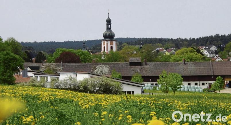 Es ist der Turm der Michelfelder Pfarrkirche, der sich hier so keck hinter Blumenwiesen und der Landwirtschaft von Regens Wagner in die Höhe reckt. Bild: Robert Stammler Bild: Robert Stammler