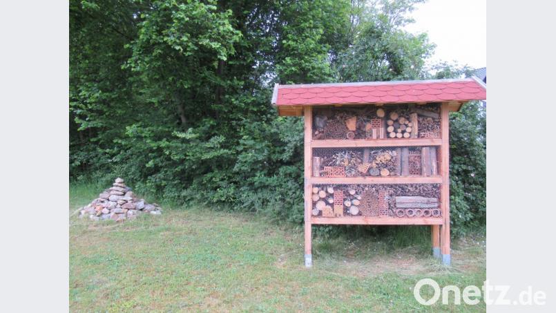Bei dem Familienfest brachte jeder Gast einen Stein aus seiner Region mit. So entstand dieser Lesesteinhaufen vor der Haselnusshecke. Ein Kleinbiotop für viele Tierarten und trockenliebende Pflanzen. Bild: AELF/exb