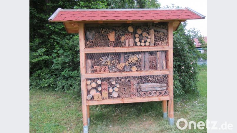 Teilzeitstudierende der Landwirtschaftsschule befüllten anlässlich des Schulprojektes dieses Insektenhotel. Bild: AELF/exb