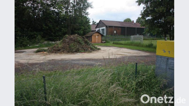 Die Fuchsmühler entsorgen ihren Grünabfall auf einer Gemeinde-Fläche an der Gütterner Straße. Bild: wro