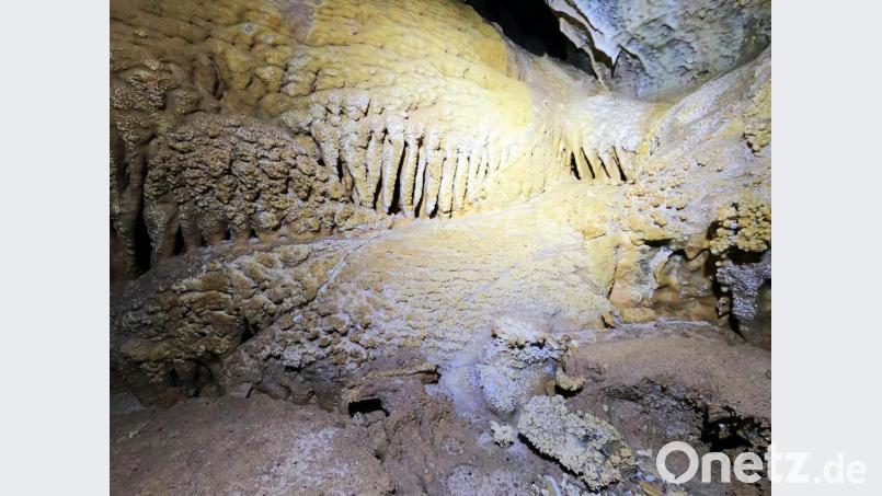 Diese Höhle hat ein Baggerfahrer in Burglengenfeld (Landkreis Schwandorf) entdeckt. Der nach ihm benannte Zwicknagelschacht ist mindestens 76 Meter lang und 14 Meter tief. Bild: Klaus Dieter Raum