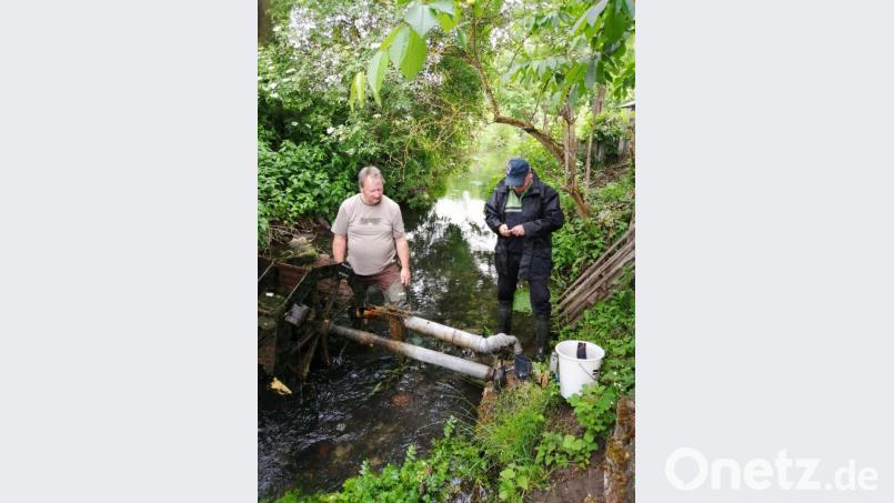 Die Tischgesellschaft Edelweiß kümmert sich seit Jahren um die Stationen des Rosenpfades. Vor allem am Hammerbrückerl sind immer wieder Arbeiten nötig, um das Wasser-Schaufelrad im Rosenbach für die Wasserversorgung des Brücken-Biotops instand zu halten. Hier sind Edelweiß-Kassier Gerd Kleiner (links) und Schriftführer Jürgen Staudte im Einsatz. Bild: rlö