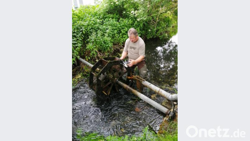 Edelweiß-Kassier Gerd Kleiner bei der Arbeit am Wasser-Schaufelrad im Rosenbach. Bild: rlö