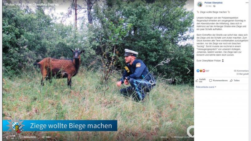 Die Polizei musste in Kallmünz eine Ziege im "Vieraugengespräch" belehren. Screenshot: facebook.com/polizeioberpfalz/