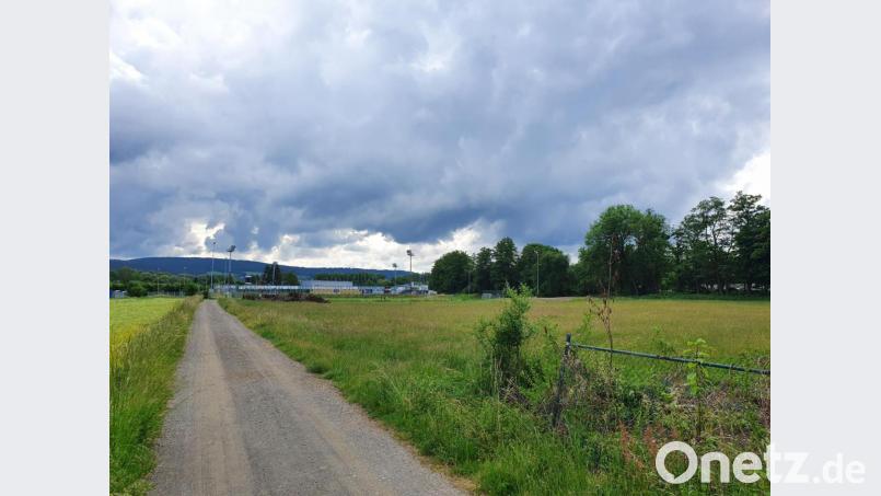 Rechts entlang des Fuß- und Radweges vom &quot;Teehaus&quot; hinunter zum Wasserwerkstadion sollen die beiden Kunstrasenplätze für die SpVgg SV Weiden entstehen. Bild: wd