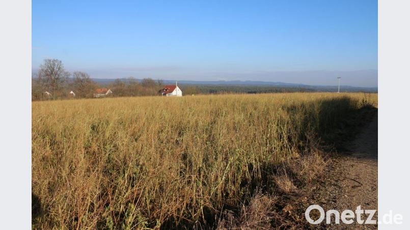 Die Stadt Pressath möchte bei Altendorf auf 38.000 Quadratmetern eine Photovoltaikanlage errichten. Die Stadt Grafenwöhr war gefragt, eine Stellungnahme dazu abzugeben. Bild: sne