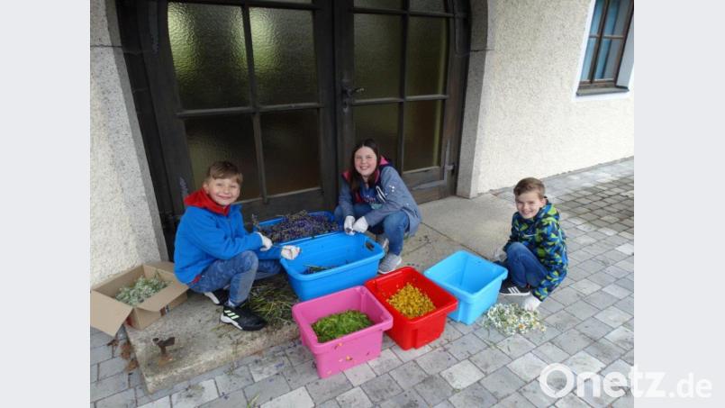 Die Kommunionkinder aus Trevesen, Tim Müller, Johanna Heining und Raphael Hecht bereiteten die Blüten für den Blumenteppich vor. Bild: twg