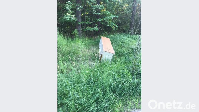Im Wald nahe der Ochsentränke wurde ein Schrank entsorgt. Ute Döhler bat um dessen Beseitigung.. Bild: jr