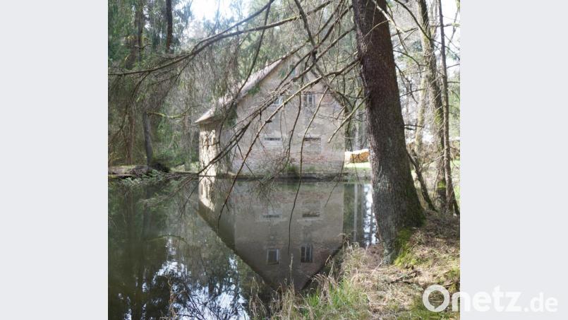 Beim Rundgang kommt man auch zu der romantisch am Weiher gelegenen „Greiner-Schleife“, eine der vielen Glasschleifen der vergangenen Zeiten im Oberpfälzer Wald. Bild: weu