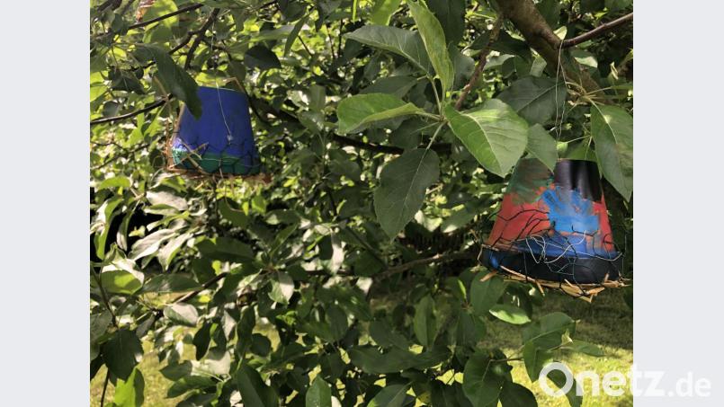 Die Vorschulkinder des Kindergartens St. Hedwig haben ihre Insektenhotels an einem Apfelbaum platziert. Bild: exb
