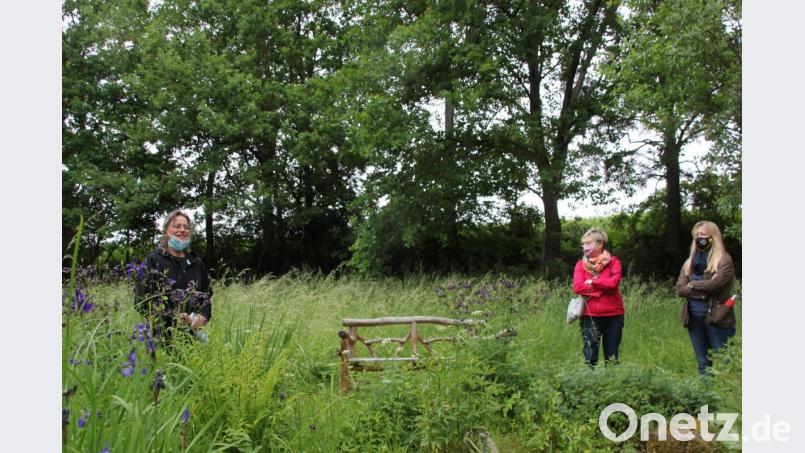 Der Kräutergarten endet in einem Naturgarten, der über einer kleinen Brücke über dem Ehenbach zu erreichen ist und zum Baumeln der Seele einlädt. Bild: ads