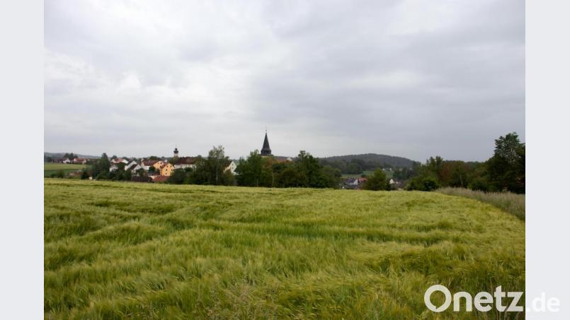Für den Standort zwischen dem Ortsausgang Wildenau (Richtung Wurmsgefäll) und der Abzweigung nach Schirnbrunn hat die Telekom einen Bauantrag für den Bau eines Mobilfunkmasten gestellt. Das Bild zeigt die Ortsansicht vom geplanten Standpunkt aus. Der Turm soll eine Höhe von 28 Meter haben. Bild: flt
