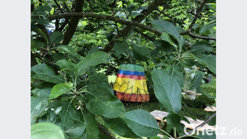 Die Vorschulkinder des Kindergartens St. Hedwig haben ihre Insektenhotels an einem Apfelbaum platziert. Bild: exb