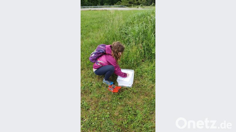 Nicht gemeinsam am Chiemsee verbrachten heuer die Pfadfinderinnen ihre Zeit im Zeltlager, sondern aufgrund von Corona einzeln in Homecampinng, allerdings beschäftigt und dadurch verbunden mit denselben Aufgaben. Bild: ads