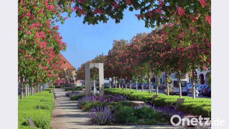Der Tirschenreuther Marktplatz. Bild: exb