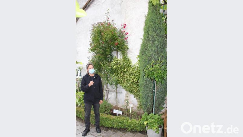 Tanja Götz verweist bei ihrer Führung durch den Kräutergarten auf viele heimische Heilpflanzen, die laut Volksmedizin wertvolle Hilfe zur Gesundhaltung von Körper und Geist bieten. Bild: ads