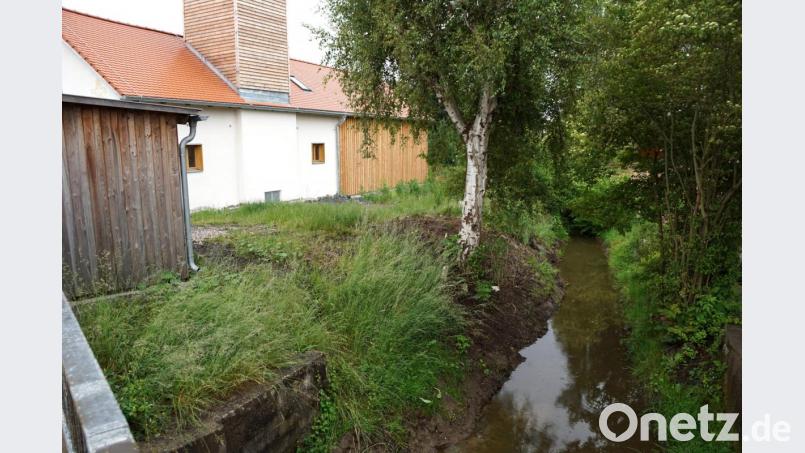 Am Erlenbach entlang, hinter dem Alten Feuerwehrhaus, soll ein Gehweg angelegt werden. Sträucher und Kräuter sollen ein Hineinrutschen von der Böschung und der Mauer verhindern. Die Mauer selbst beginnt dort, wo Büsche das Bachbett überdecken. Bild: bkr