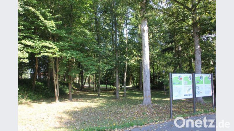 Auf diesem Areal nähe des Großparkplatzes, Richtung Altstadt soll der neue Kindergarten für 2,5 Millionen Euro gebaut werden. Bild: kro