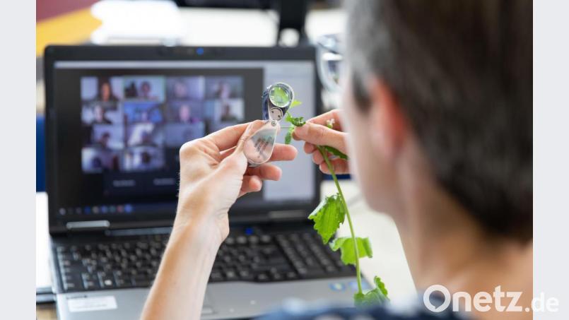 Nahezu problemlos – wie auf diesem Symbolbild von einer anderen Uni – läuft das „digitale“ Semester an der OTH Amberg-Weiden. Für das kommende Herbstsemester plant die Hochschule eine Mischung aus Präsenz- und Digitalunterricht. Bild: Friso Gentsch/dpa