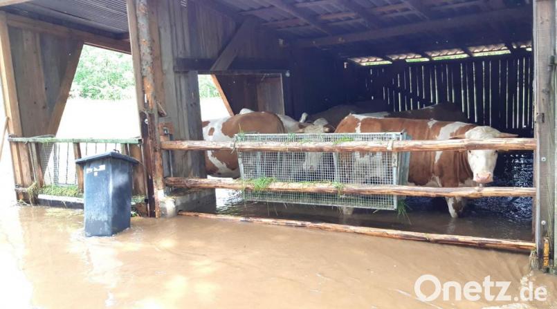 Der übergetretene Raunetbach sorgt erst später für ein Wasserchaos in den beiden tiefer gelegenen Waidhauser Ortsteilen Papiermühle und Ödkührieth. Bild: fjo