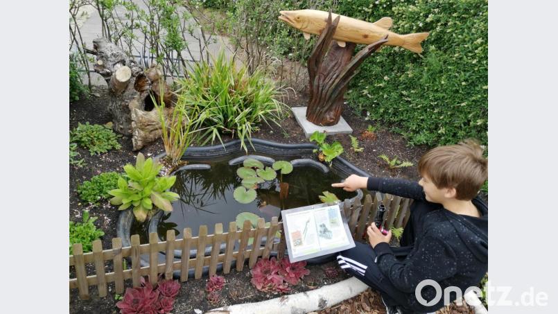 Der neue Gemeinschaftsgarten in der Kleingartenanlage an der Vils lädt zum Verweilen ein. Bild: Susann Heldmann/exb