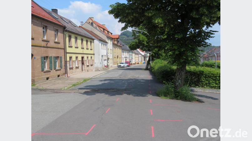 Die Interessengemeinschaft moniert, dass bei dem Kanalprojekt in Neustadt am Kulm eine Linde gefällt werden muss und das Wurzelwerk eines anderen Baumes erheblich geschädigt werde. Bild: ow