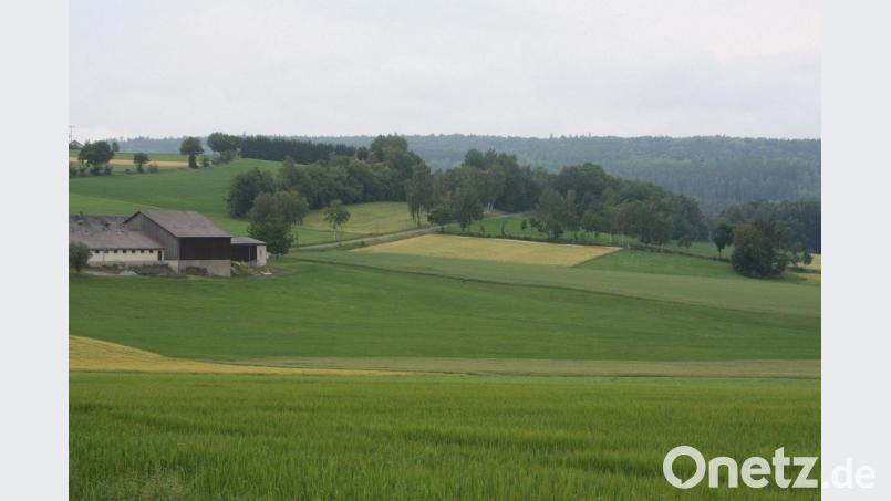 Das Blendgutachten für den künftigen Solarpark beim Ortsteil Fürstenhof liegt vor. Aus dem Ergebnis geht hervor, dass weder für die Autofahrer, noch für die Anwohner eine Beeinträchtigung entstehen werde. Bild: wro