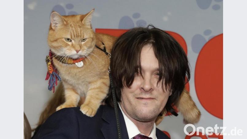James Bowen und Kater Bob waren unzertrennlich. Bild: Jörg Carstensen