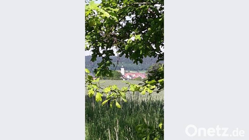 &quot;Grüner&quot; Durchblick auf die Haidenaabstadt, von der Winterleite kommend. Bild: mng