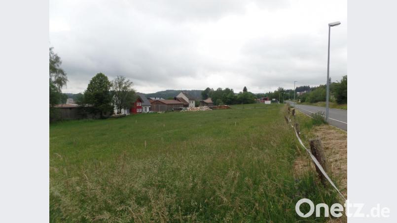Mit der Aufstellung einer Einbeziehungssatzung für das Grundstück (Bild) an der Steinwaldstraße wurden die Voraussetzungen für eine bauliche Nutzung geschaffen. Wegen der vorhandenen Hofstelle (Hintergrund) ist auf einer Teilfläche des Planungsgebietes keine Wohnbebauung erlaubt, da der Mindestabstand von 60 Meter einzuhalten ist. Bild: br