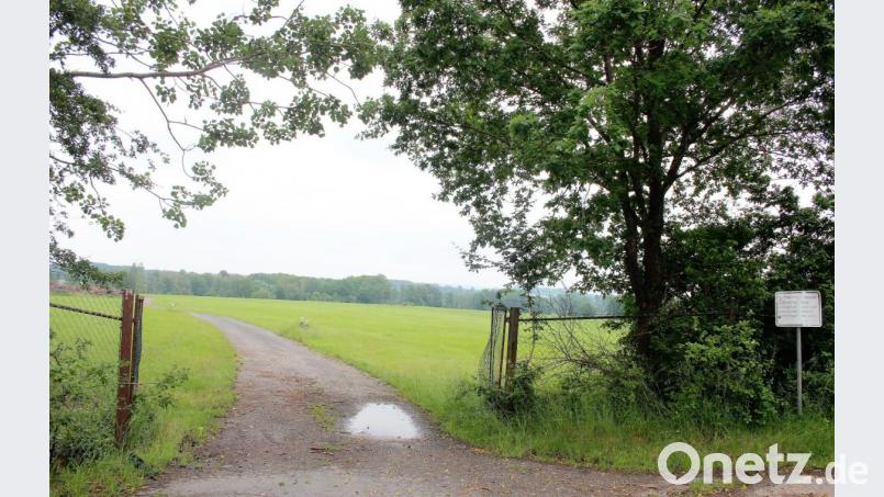War dieses Gelände bei Höflas früher Grüngut- und Bauschuttdeponie, soll dort bis Oktober ein 4MWp-Solarpark entstehen. Bild: stg