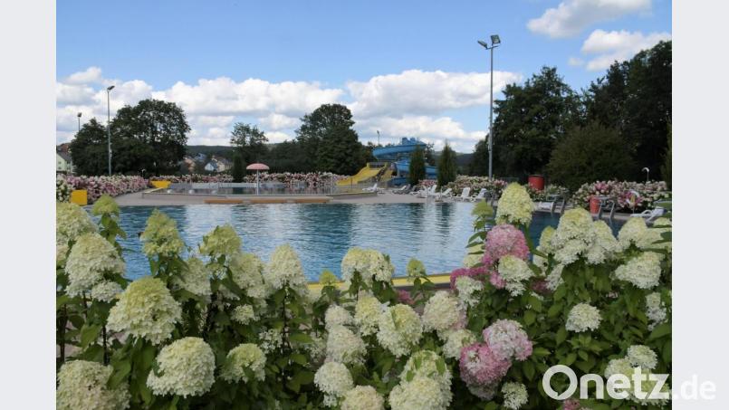 Bleibt diese Oase heuer ungenutzt? Eine Gruppe Neunburger Bürger hat eine Petition initiiert, damit das Freibad trotz eines absehbaren, enormen Defizits heuer noch öffnet. Bild: mp