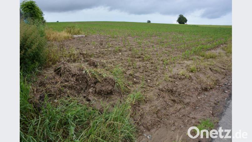 Von diesem Maisfeld am Groppenheimer Weg aus kam es an Fronleichnam zu einem massiven Wasserabfluss in Richtung Ortskern. Bild: jr