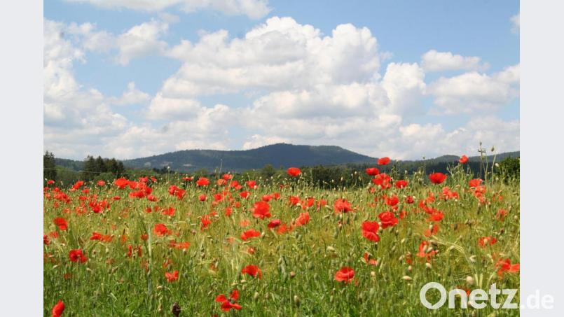 Herrlicher Blick auf die Kösseine. Bild: fpoz
